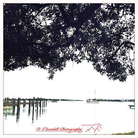 florida-march-2015-iphone-random-008