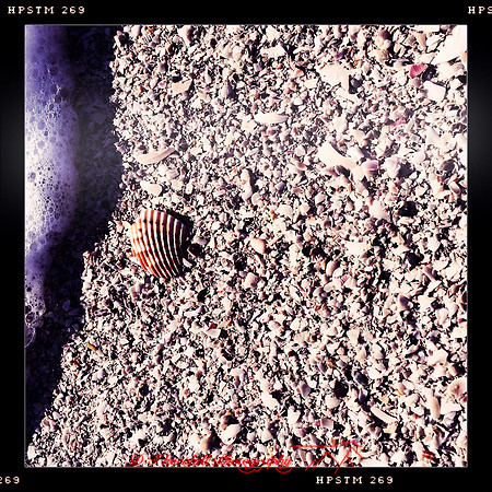 florida-march-2015-iphone-random-015