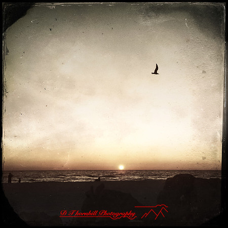 florida-march-2015-iphone-random-020