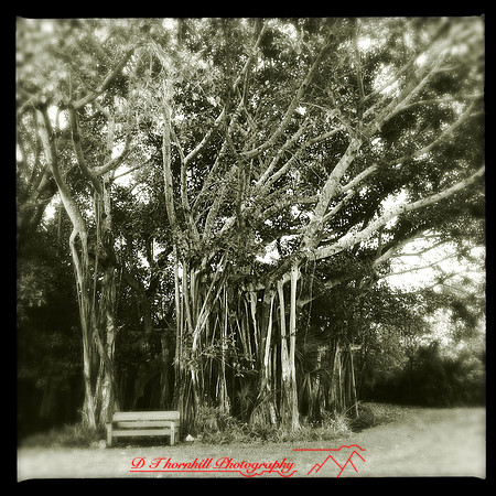 florida-march-2015-iphone-random-010