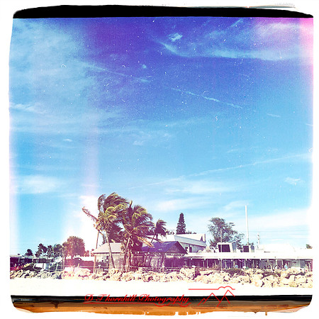 florida-march-2015-iphone-random-013