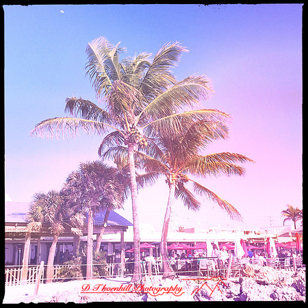 florida-march-2015-iphone-random-019