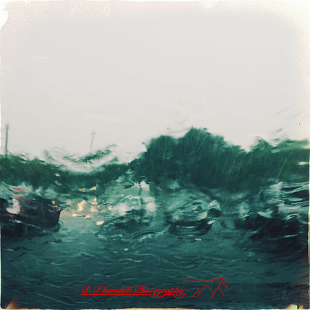 florida-march-2015-iphone-random-011