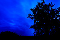 bay_city_state_park-2011-3-nas