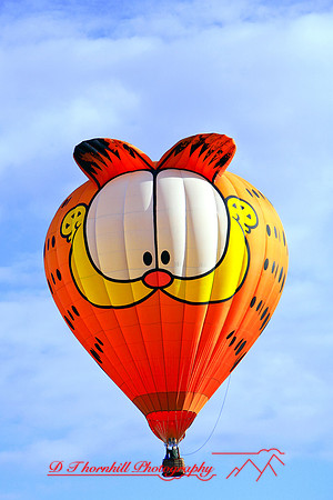 midland_balloon-2007-24