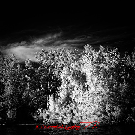 FL-March 2018-047_DxO