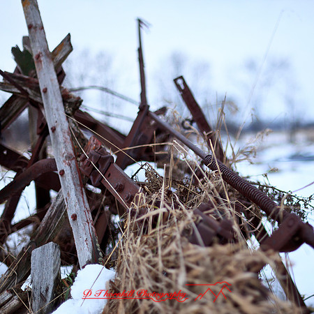 assorted_images-2012-148