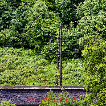 2025 - river cruise - 386_DxO