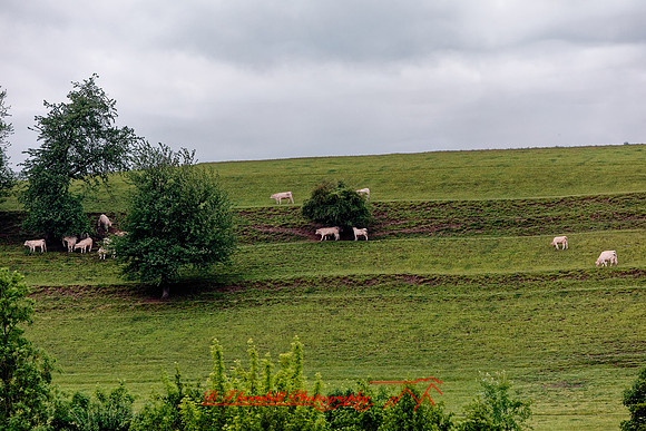 2025 - river cruise - 387_DxO
