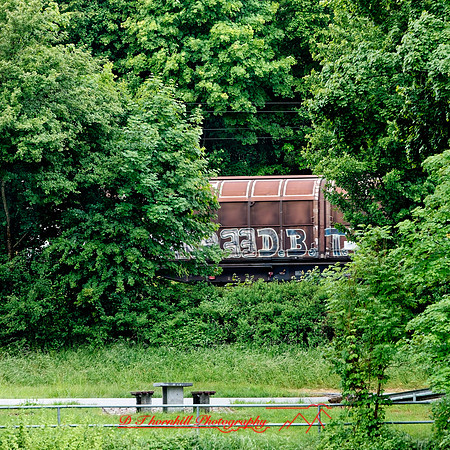 2025 - river cruise - 389_DxO