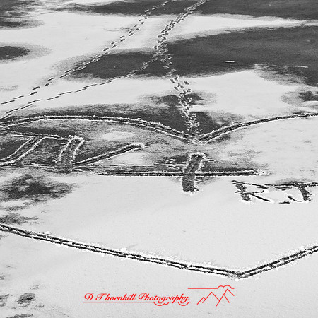 snow-fest-infrared-2012-08