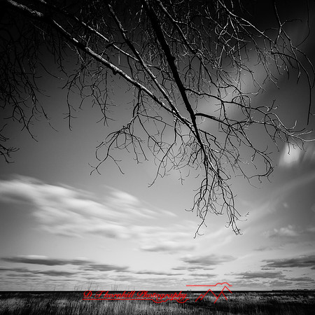shadow-light-project-bay-city-state-park-2014-006