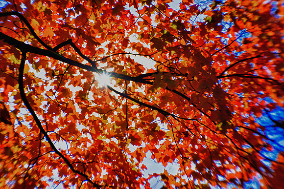 nature_images-2010_07_HDR