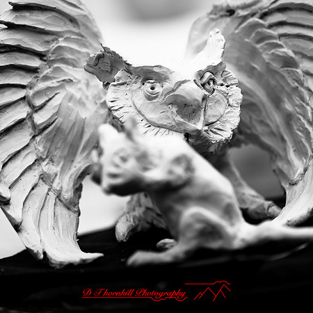 snow-fest-2012-48