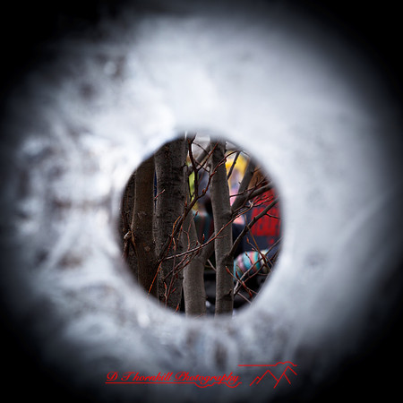 snow-fest-2012-51