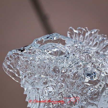 snow-fest-2012-54