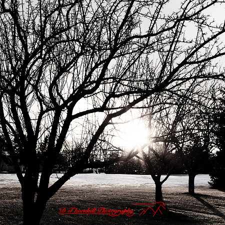 snow-fest-2012-58