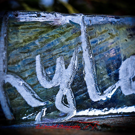 snow-fest-2012-31
