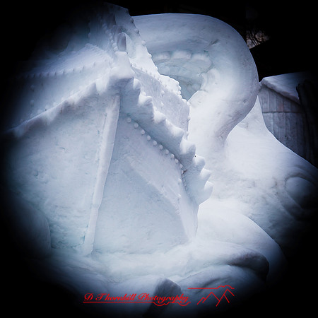 snow-fest-2012-37