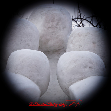 snow-fest-2012-38