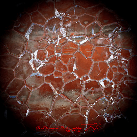 snow-fest-2012-42