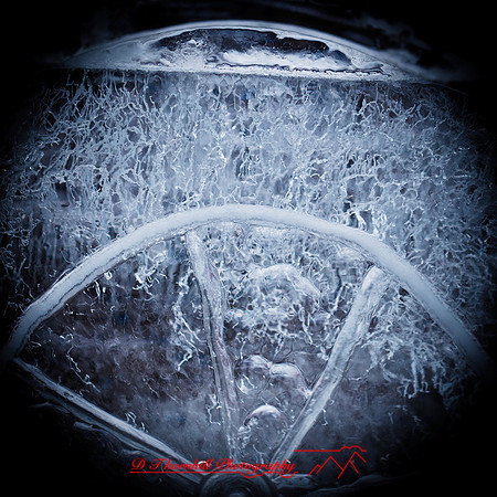snow-fest-2012-44