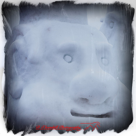 snow-fest-2012-46-nas