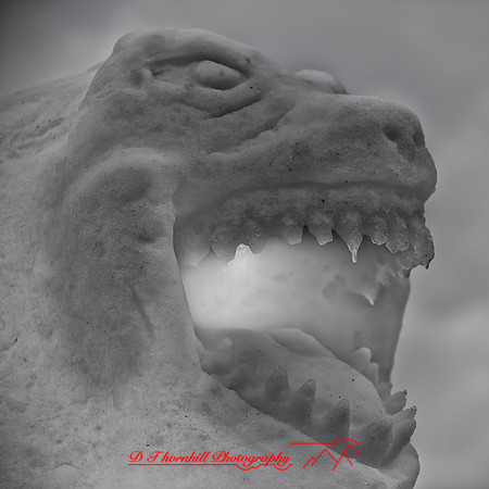 snow-fest-2012-47