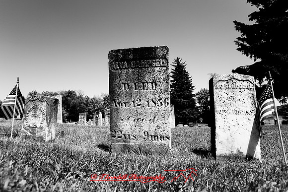 assorted_images-2007-09