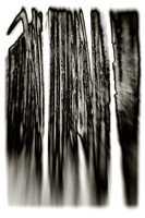 assorted_images-2009_040-nik.jpg