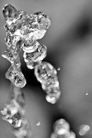 assorted_images-2011-158-nas