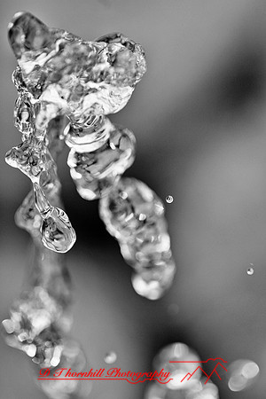 assorted_images-2011-158-nas