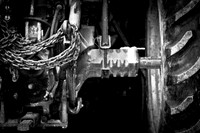 assorted_images-2011-205
