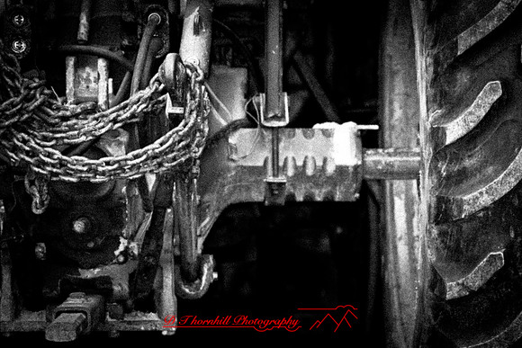 assorted_images-2011-205