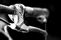 assorted_images-2011-204