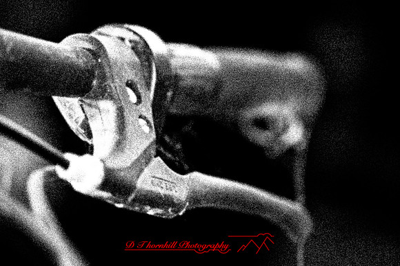 assorted_images-2011-204