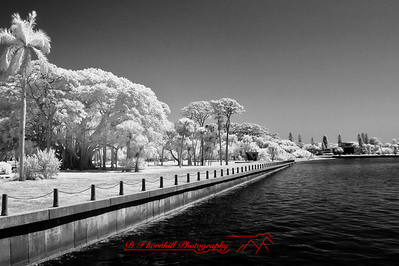 florida-2008-images-infrared_34.jpg