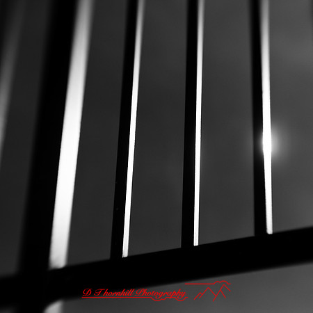 bay_city_infrared-images_2012-031