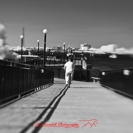 bay_city_infrared-images_2012-033