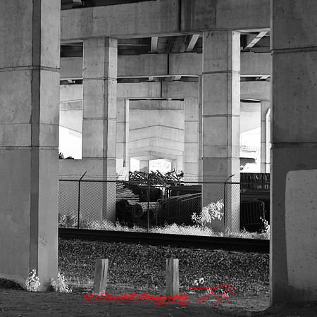bay_city_infrared-images_2012-035