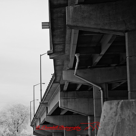 bay_city_infrared-images_2012-036