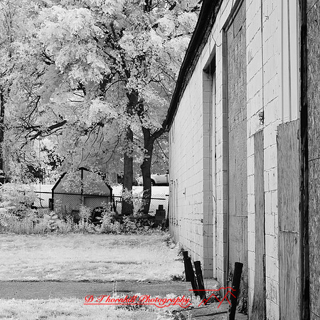 bay_city_infrared-images_2012-037