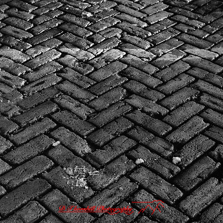 bay_city_infrared-images_2012-004