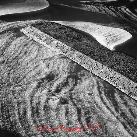 bay_city_infrared-images_2012-008