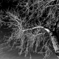 bay_city_infrared-images_2012-011