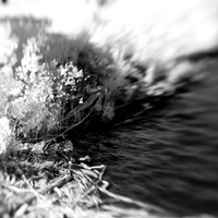 bay_city_infrared-images_2012-012