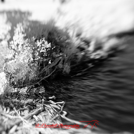 bay_city_infrared-images_2012-012