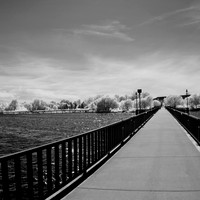 bay_city_infrared-images_2012-015