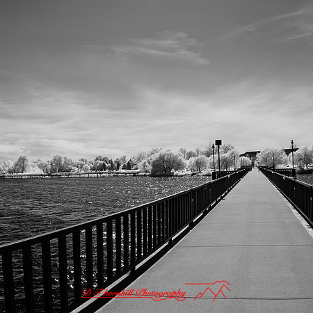 bay_city_infrared-images_2012-015