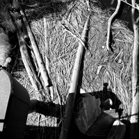 bay_city_infrared-images_2012-017